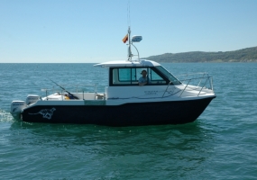 cheetah catamaran 7.9 for sale