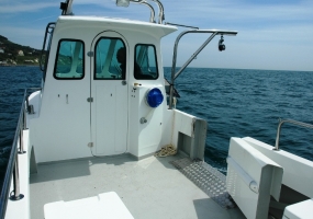 cheetah catamaran 7.9 for sale