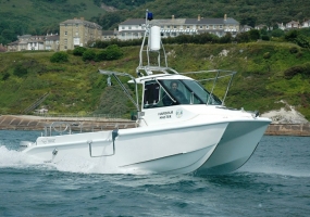 cheetah catamaran 7.9 for sale